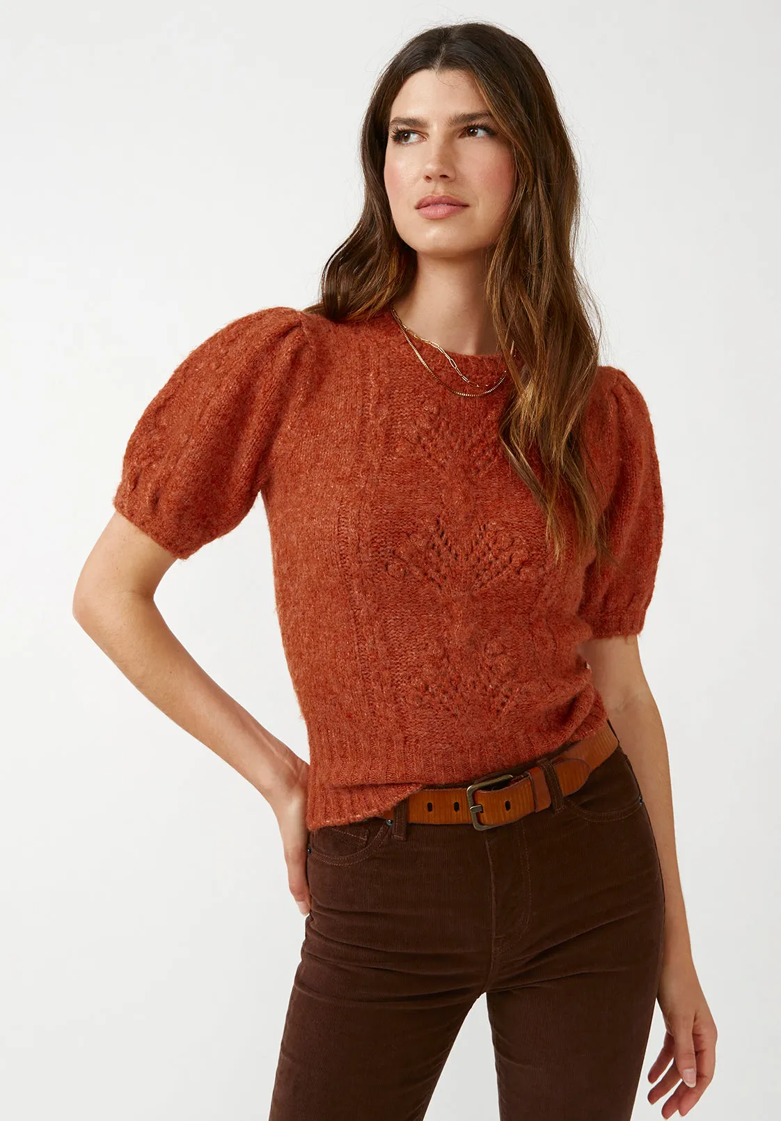 Lissa Women's Short Sleeve Sweater in Ginger Orange - SW0015F sold by Buffalo Jeans product image thumbnail 4
