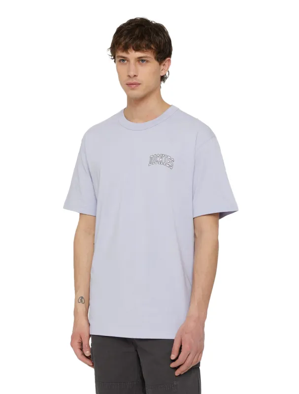 Dickies Aitkin Chest T-shirt Lila sold by Burned Sports