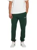 Only & Sons Riley Joggingbroek Groen sold by Burned Sports