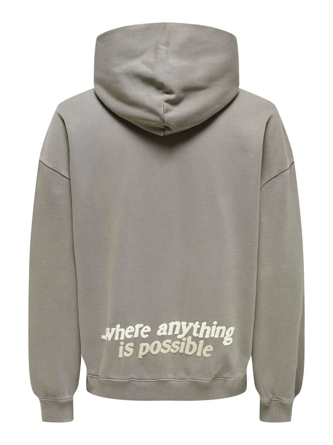 Raiden Relax Washed Hoodie Grijs sold by Burned Sports product image thumbnail 2