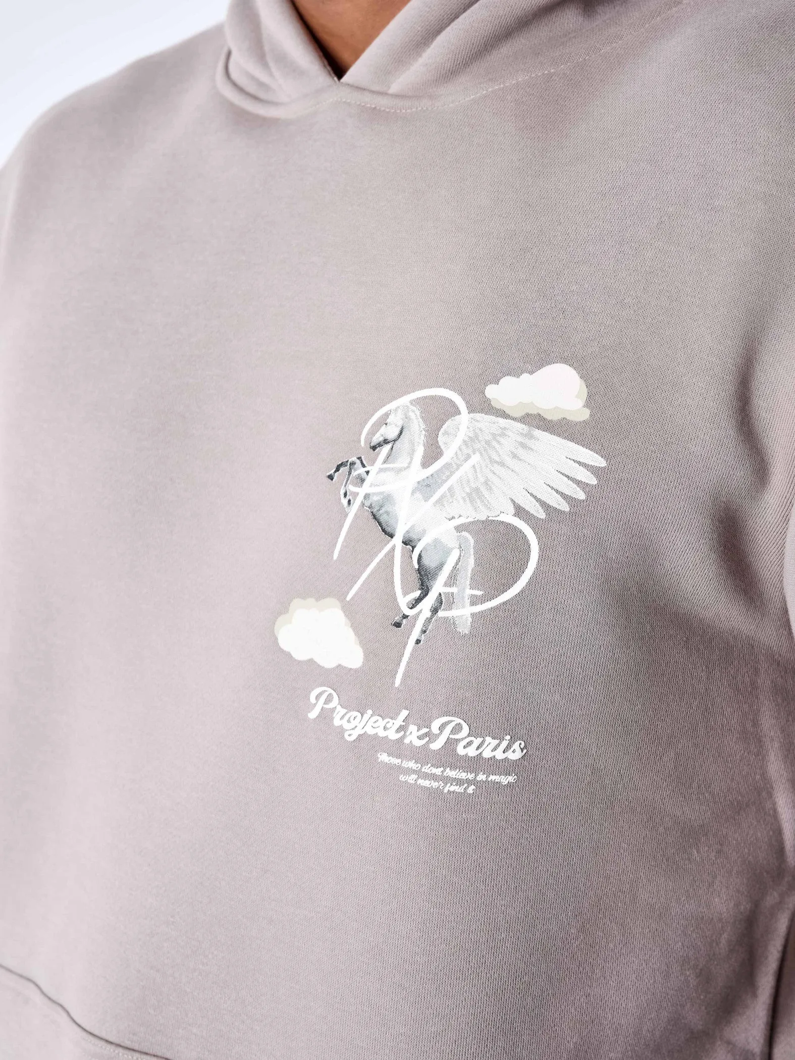 Project X Paris Pegasus Cloud Hoodie Taupe sold by Burned Sports product image thumbnail 3