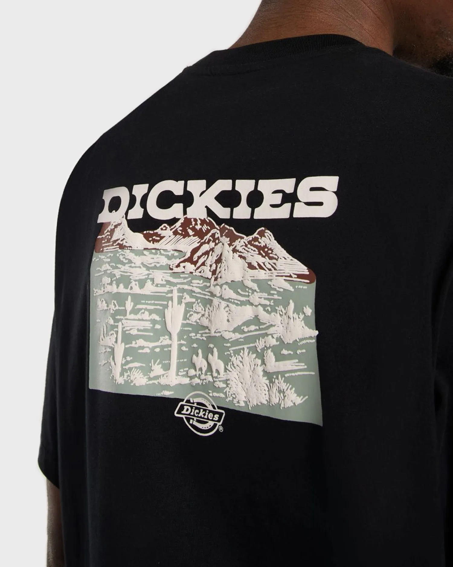 Dickies Landscape T-shirt Zwart sold by Burned Sports product image thumbnail 4