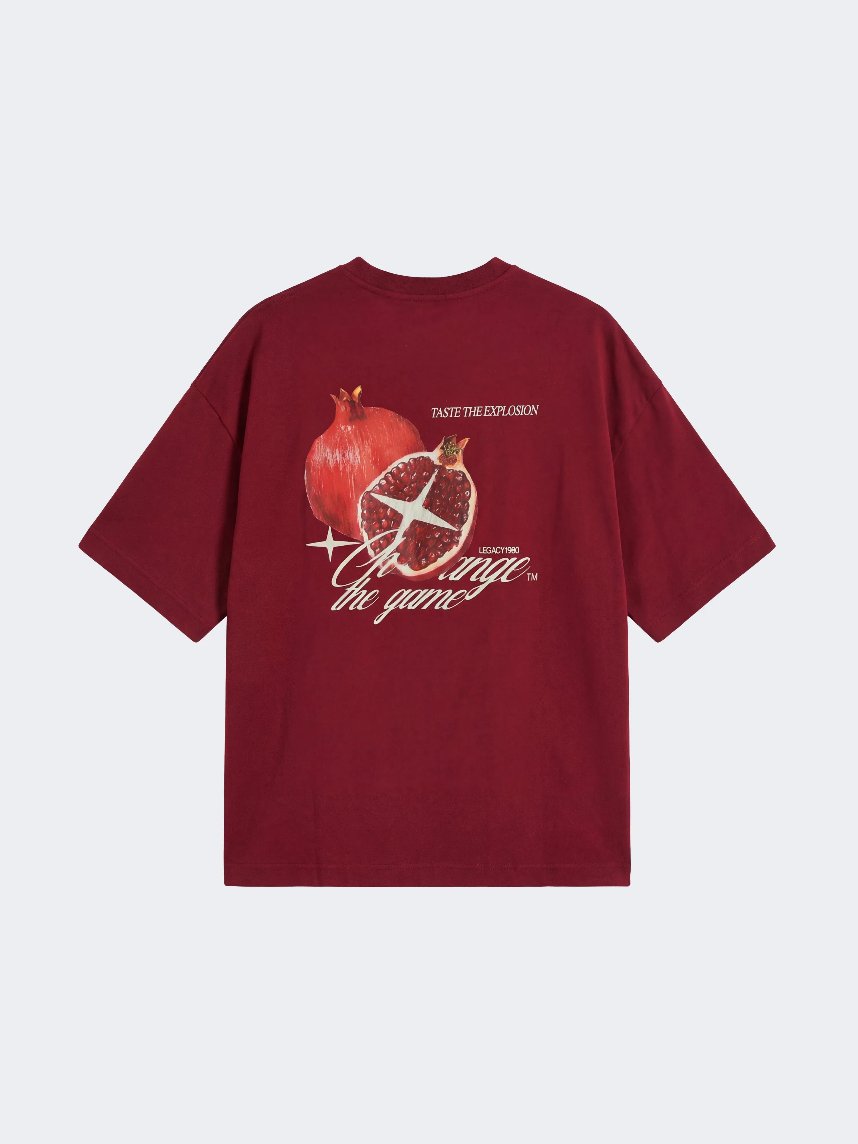 Project X Paris Pomegranate Oversized T-shirt Bordeaux sold by Burned Sports product image thumbnail 4