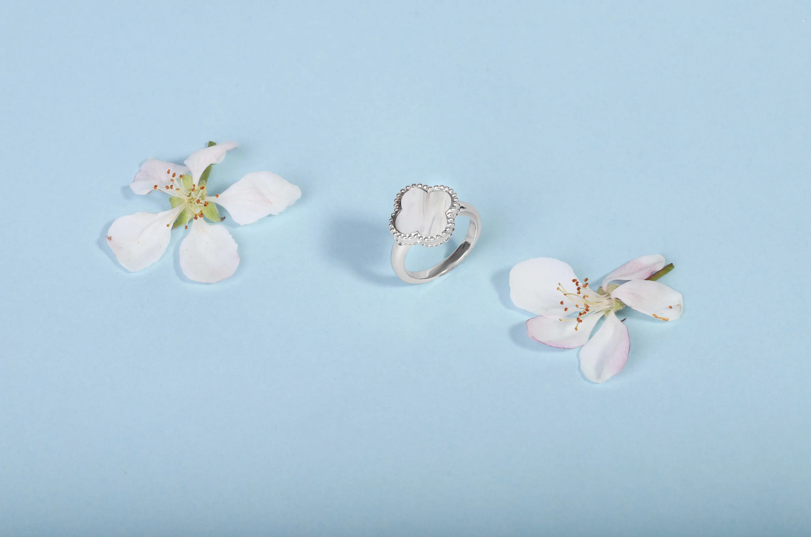 18ct White Gold White Mother of Pearl Bloom Four Leaf Clover Ball Edge Ring sold by C.W. Sellors product image thumbnail 5