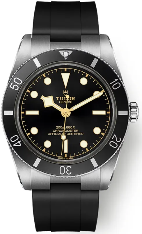 TUDOR Black Bay 54 Watch sold by C.W. Sellors