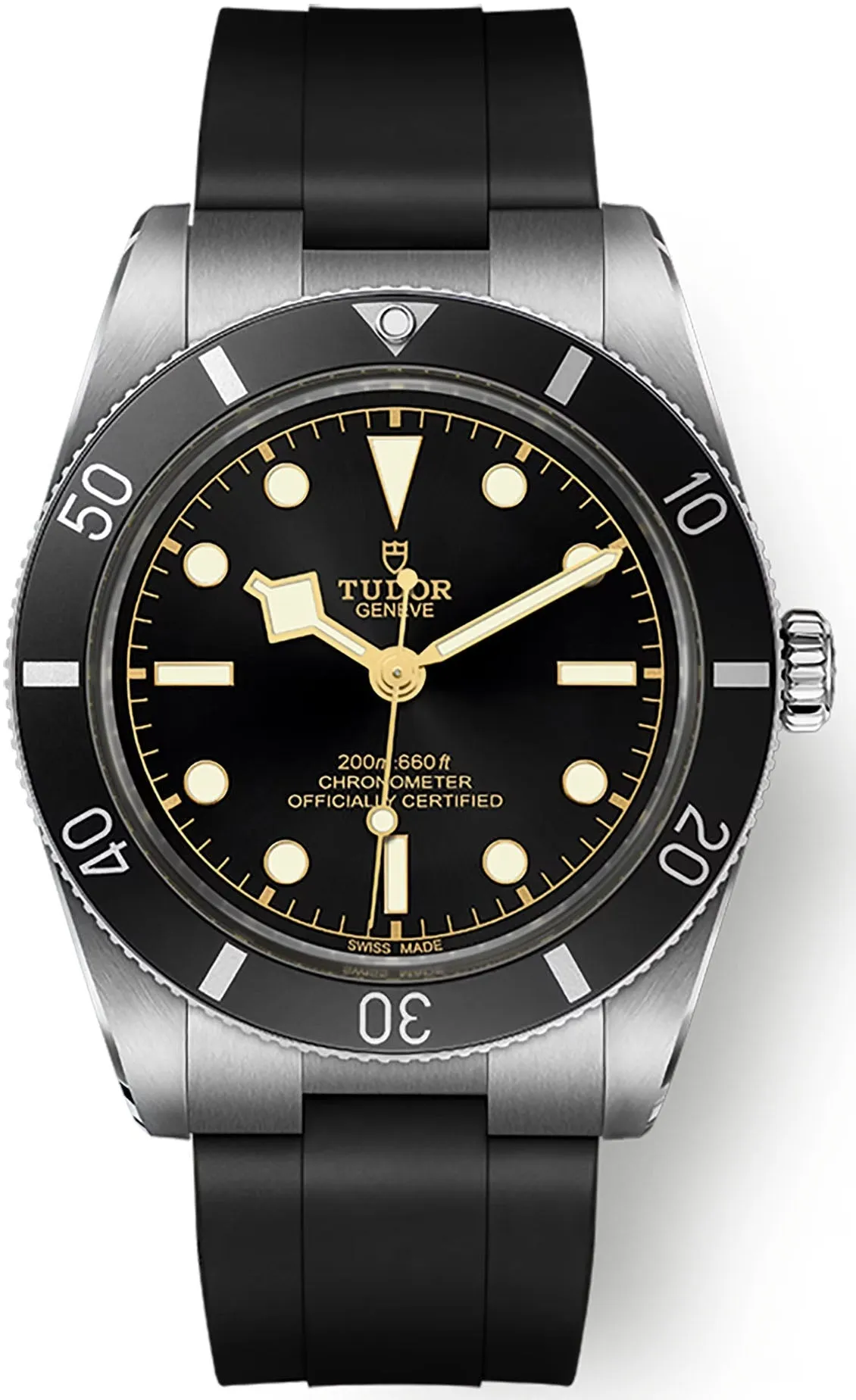 TUDOR Black Bay 54 Watch sold by C.W. Sellors
