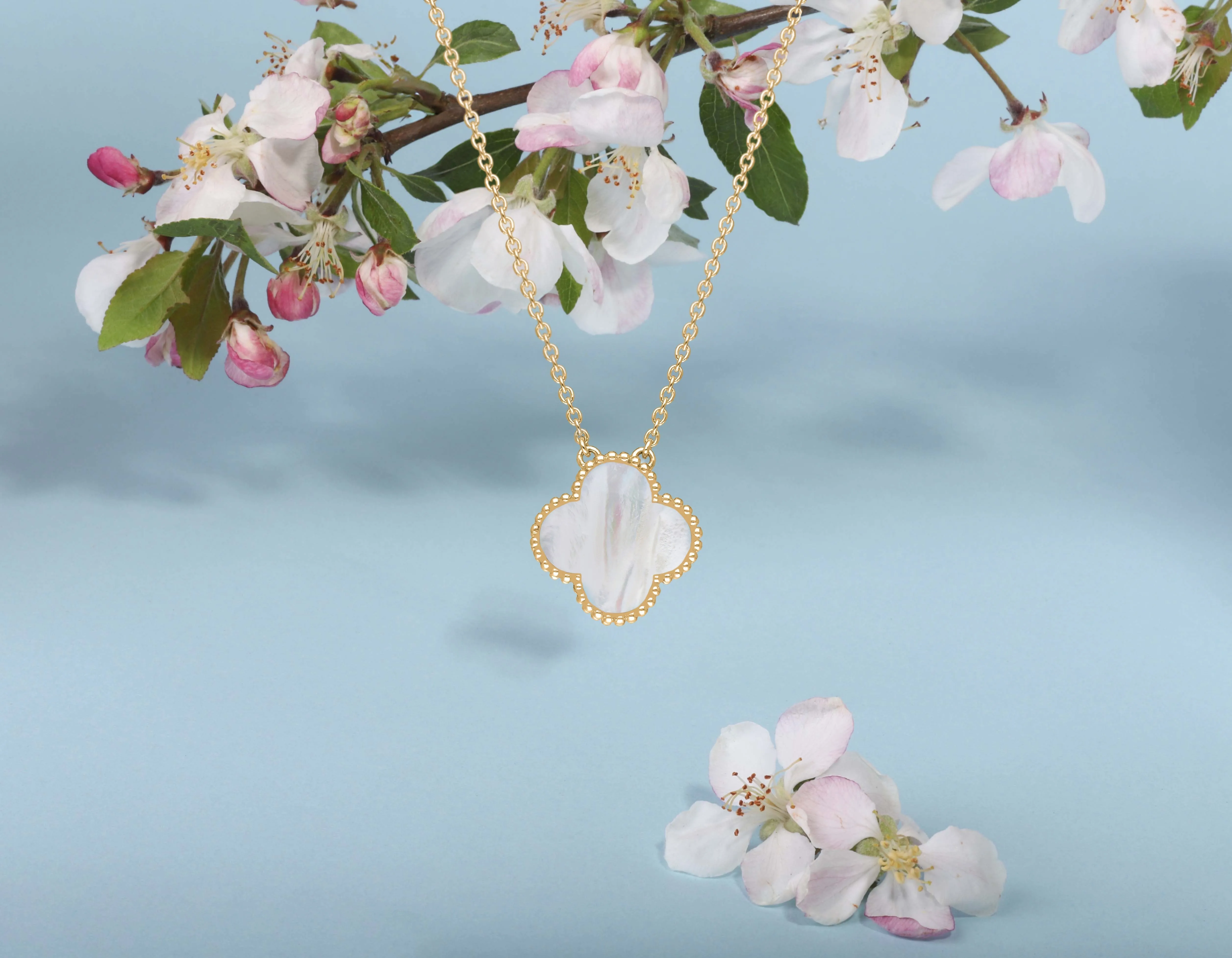 9ct Yellow Gold White Mother of Pearl Bloom Large Four Leaf Clover Ball Edge Chain Necklet sold by C.W. Sellors product image thumbnail 2