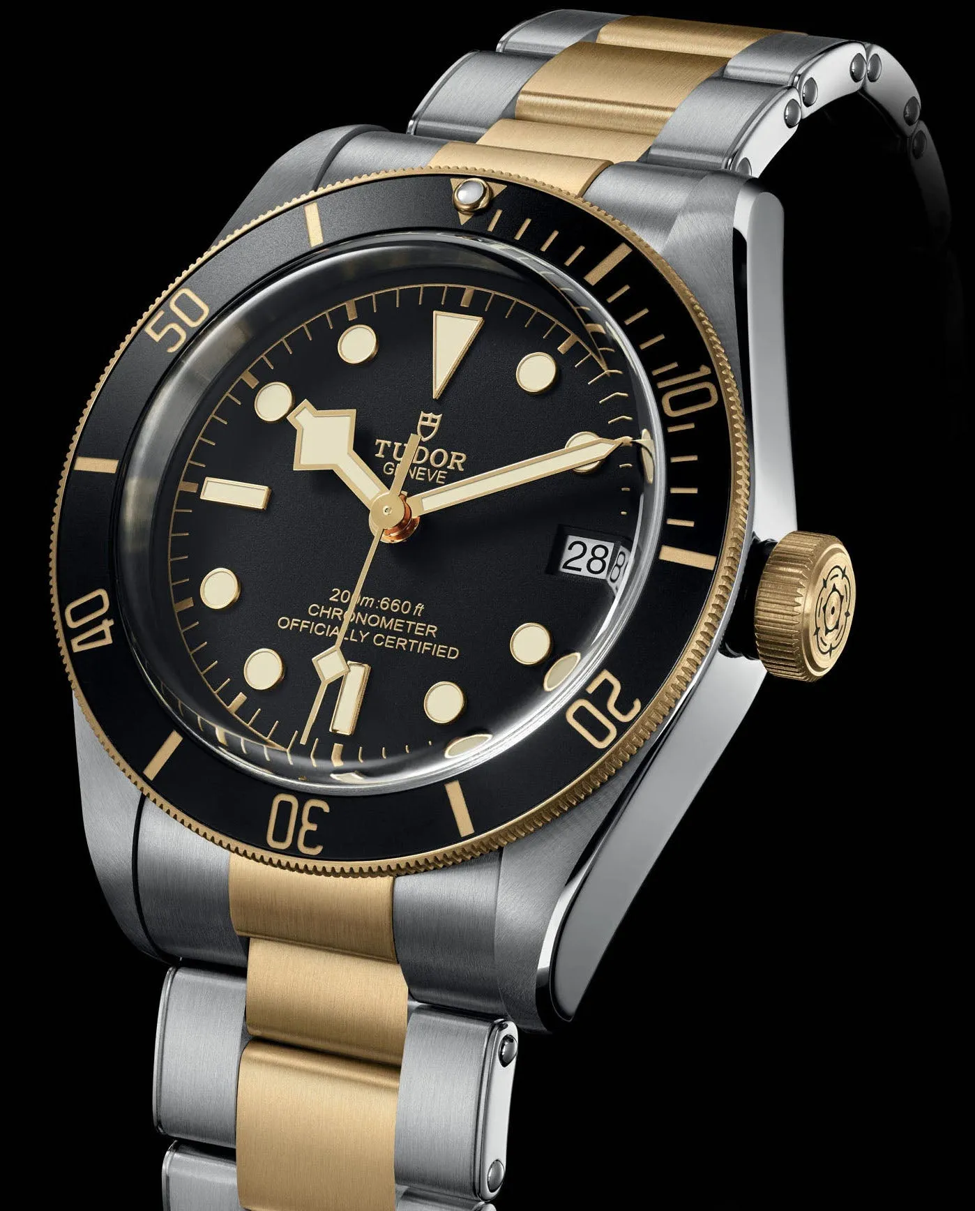 TUDOR Black Bay S&G Watch sold by C.W. Sellors product image thumbnail 2