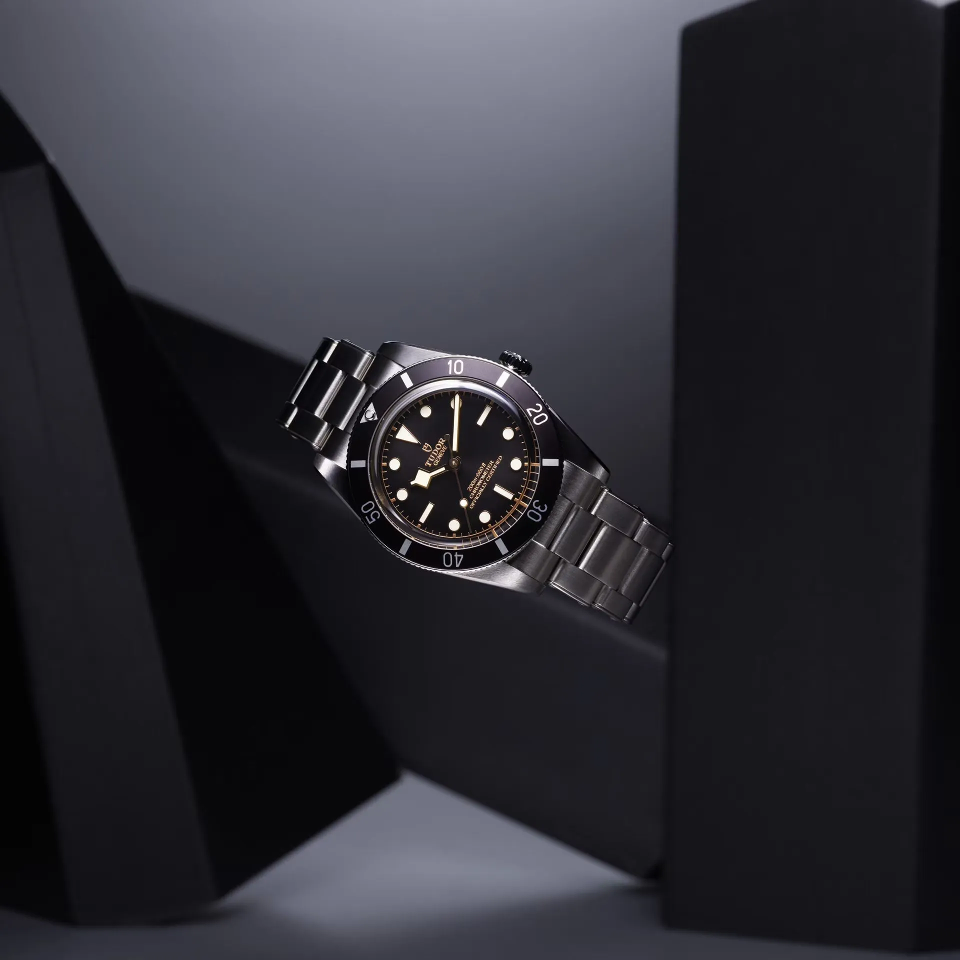 TUDOR Black Bay 54 Watch sold by C.W. Sellors product image thumbnail 2