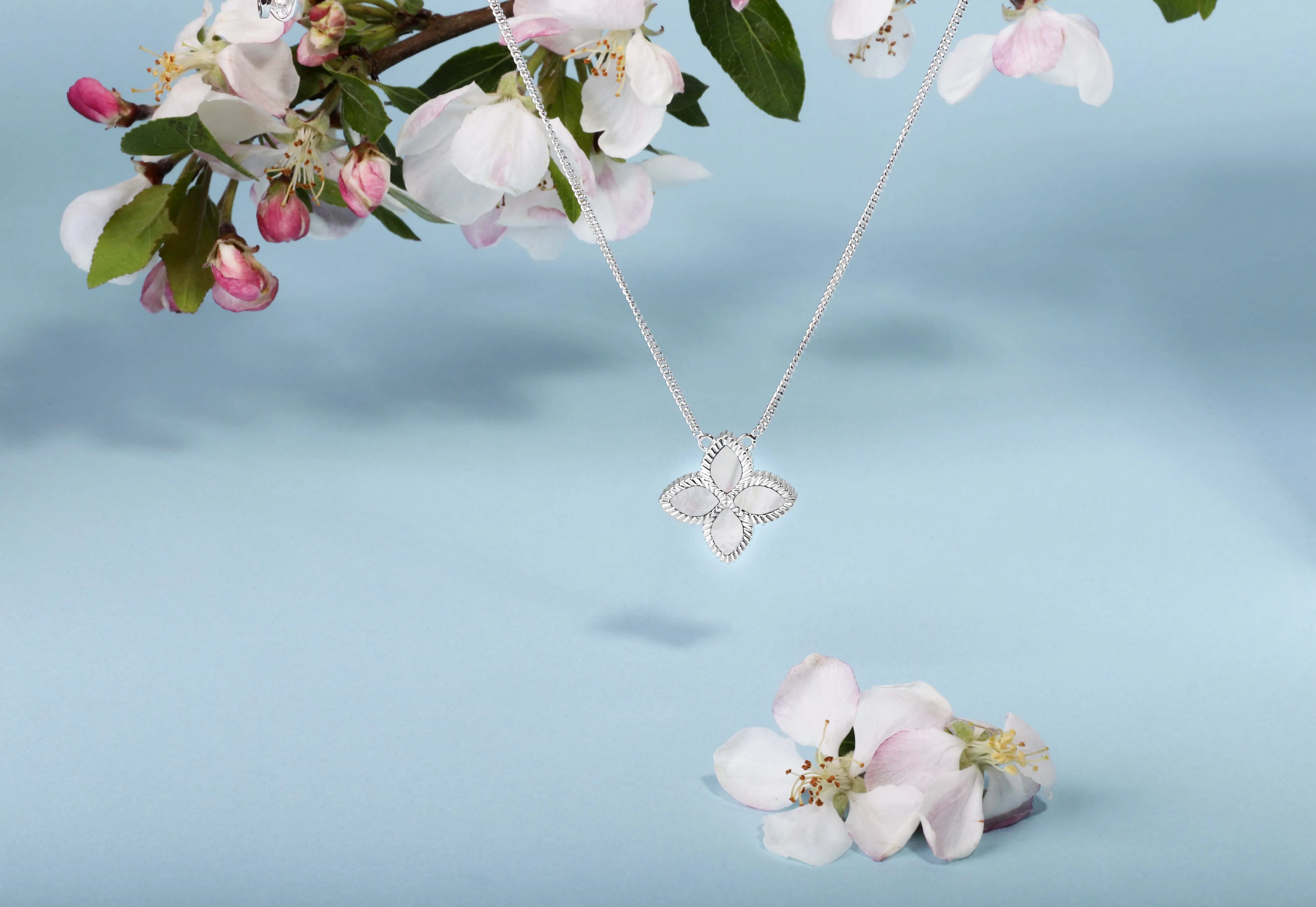 9ct White Gold White Mother of Pearl Eden Large Marquise Flower Necklace sold by C.W. Sellors product image thumbnail 3