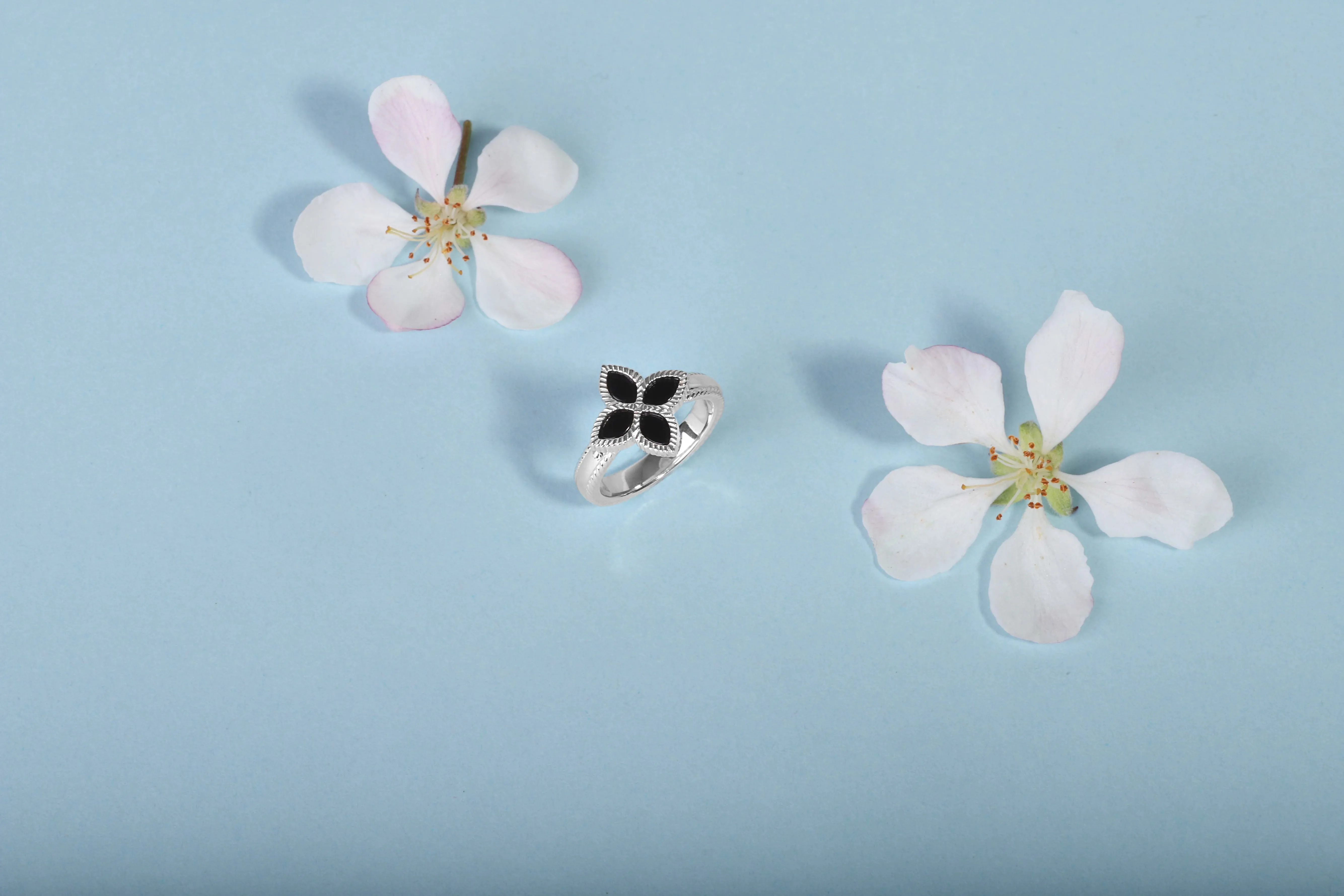 Sterling Silver Whitby Jet Eden Marquise Flower Ring sold by C.W. Sellors product image thumbnail 5