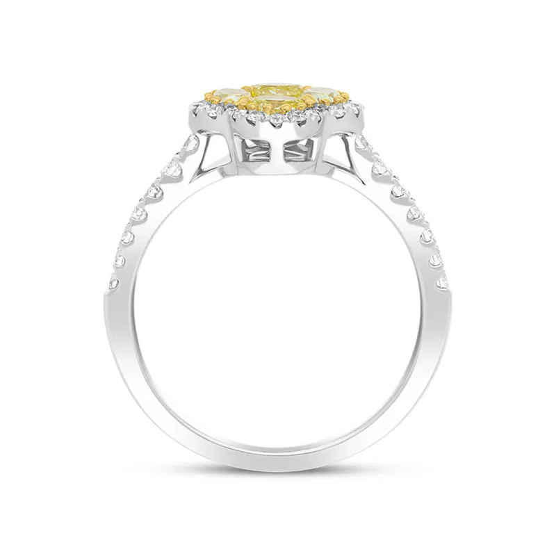 18ct White Gold Yellow and White Diamond Cluster Ring sold by C.W. Sellors product image thumbnail 3