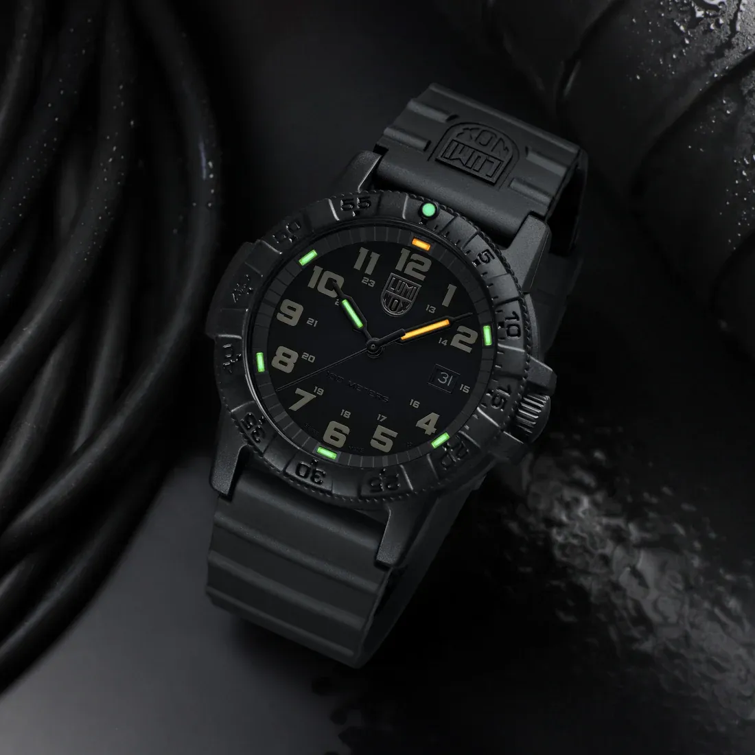 Luminox Leatherback Sea Turtle Giant 0320 Series Watch sold by C.W. Sellors product image thumbnail 5