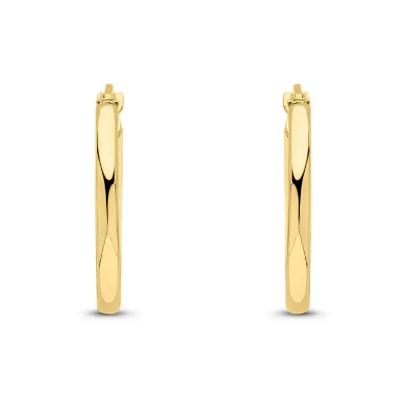 9ct Yellow Gold 2mm Polished Tude Oval Hoop Earrings sold by C.W. Sellors