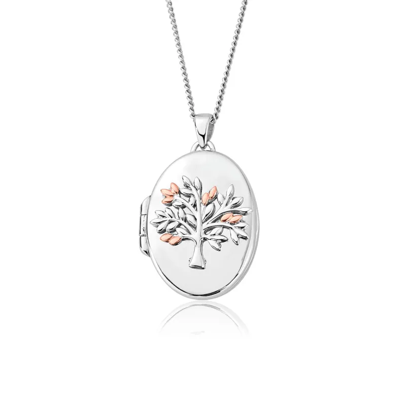 Clogau Tree of Life Sterling Silver Oval Locket Necklace sold by C.W. Sellors