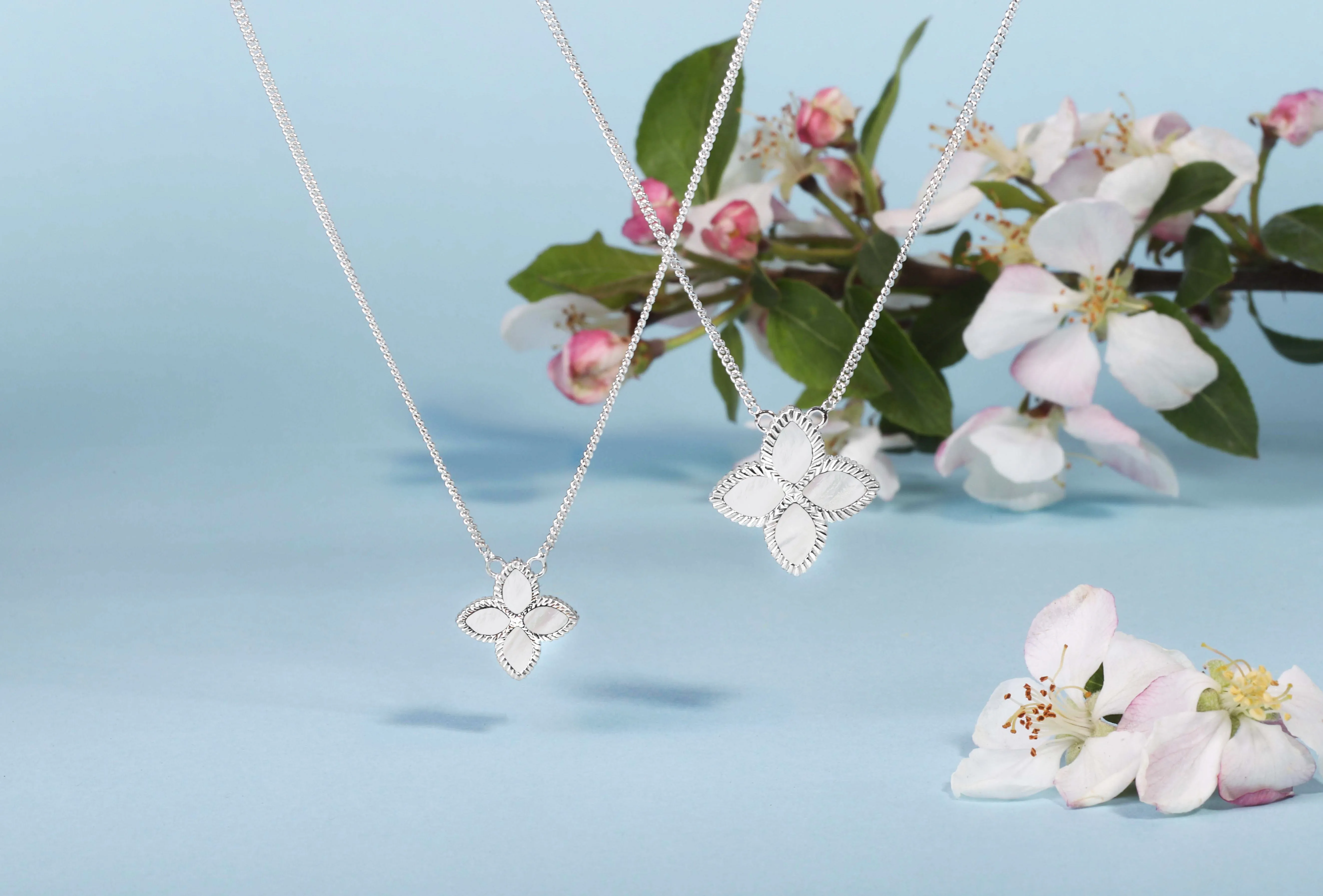 9ct White Gold White Mother of Pearl Eden Small Marquise Flower Necklace sold by C.W. Sellors product image thumbnail 2