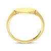 9ct Yellow Gold Oblong Signet Ring D sold by C.W. Sellors