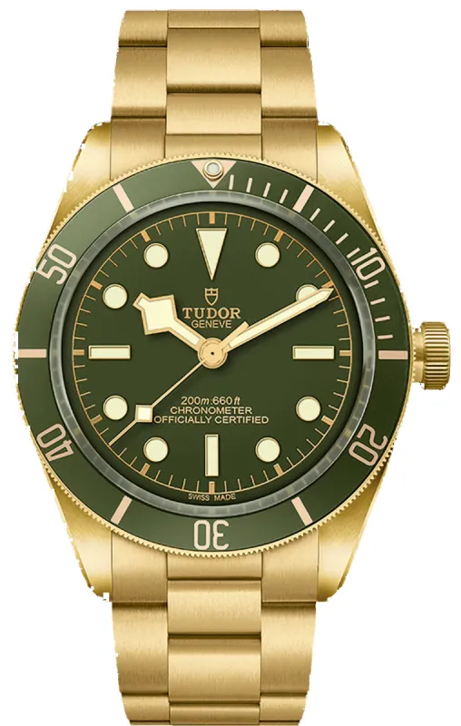 TUDOR Black Bay 58 18k Watch sold by C.W. Sellors