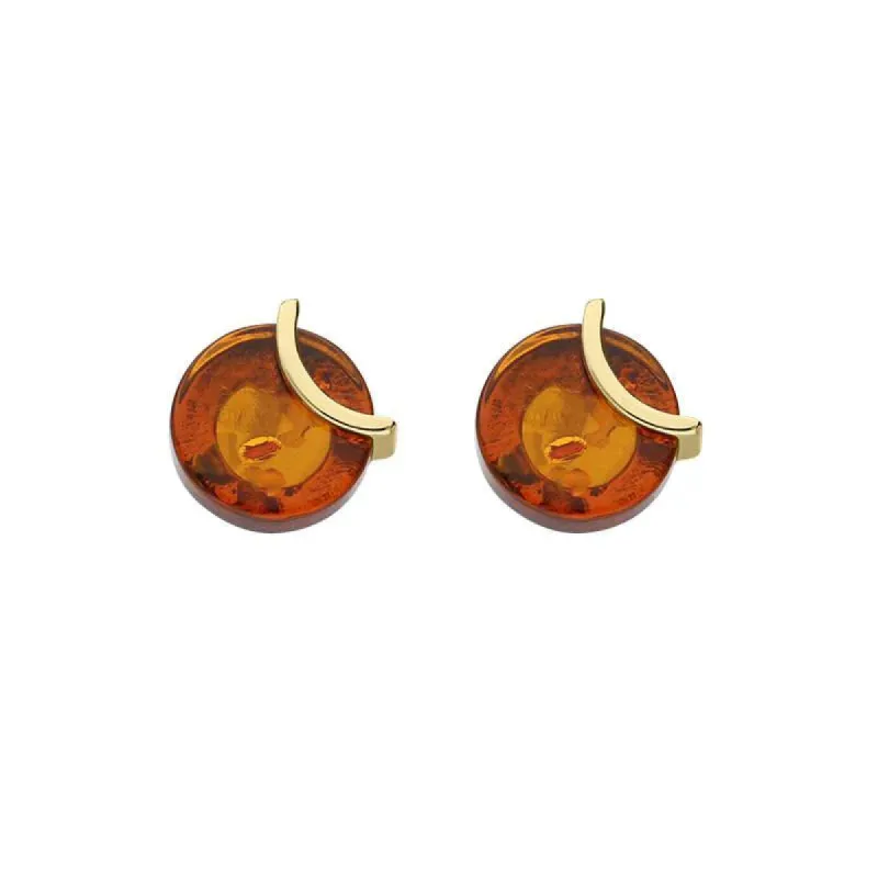 9ct Yellow Gold Amber Round Stud Earrings D sold by C.W. Sellors
