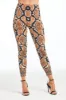 Wild Desert Leggings sold by Czarina