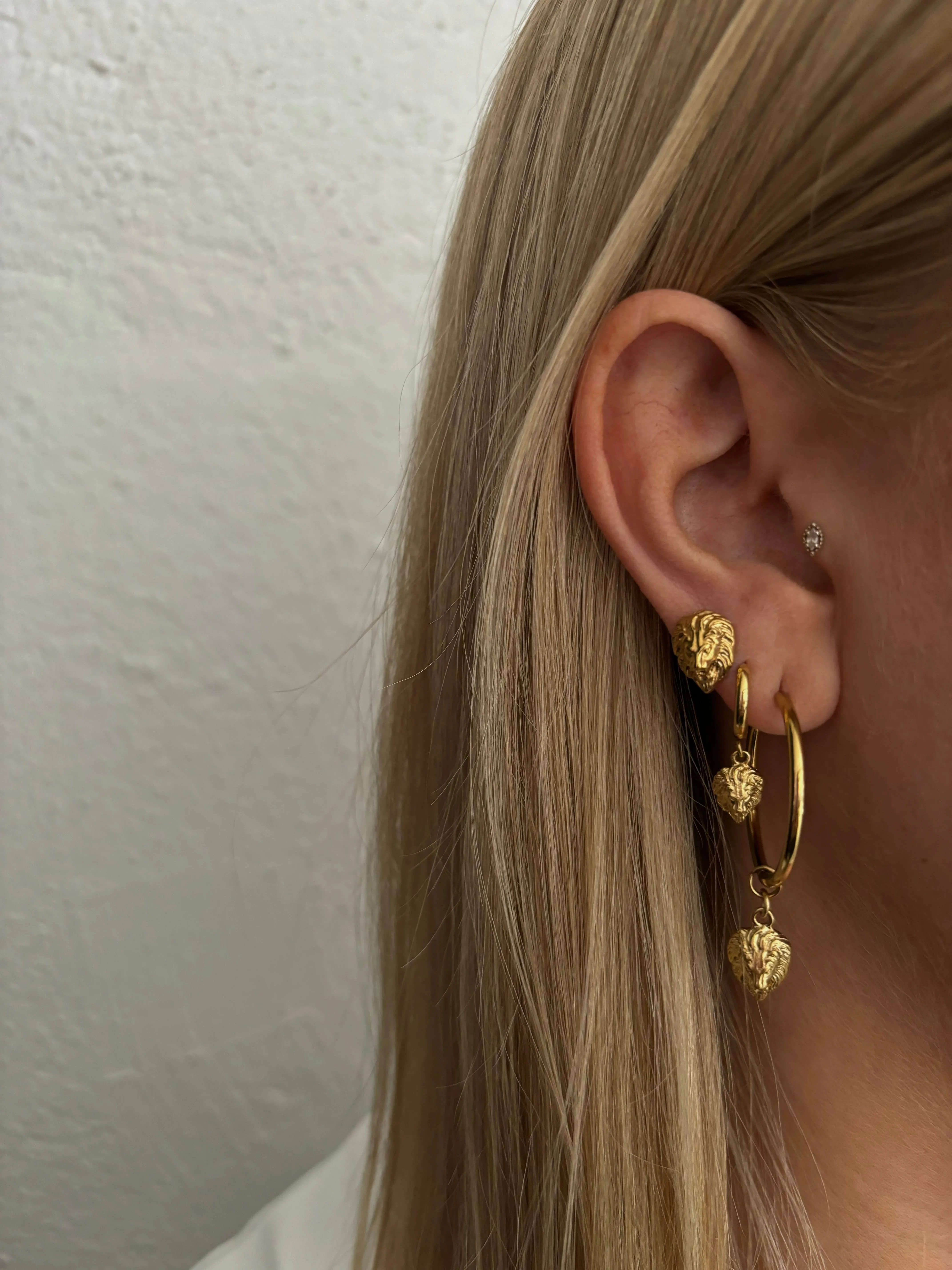 LION HOOP MEDIUM sold by DARK Department product image thumbnail 2