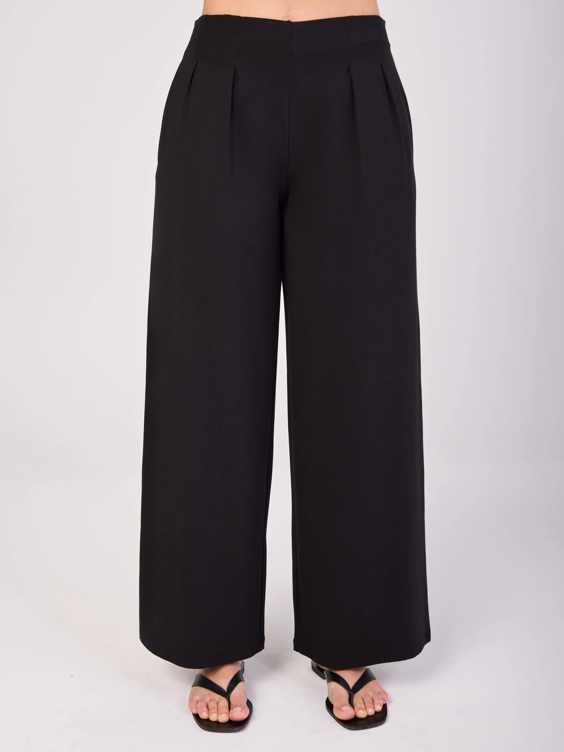 Emery Wide Leg Pants - Black sold by Dharma Bums product image thumbnail 4