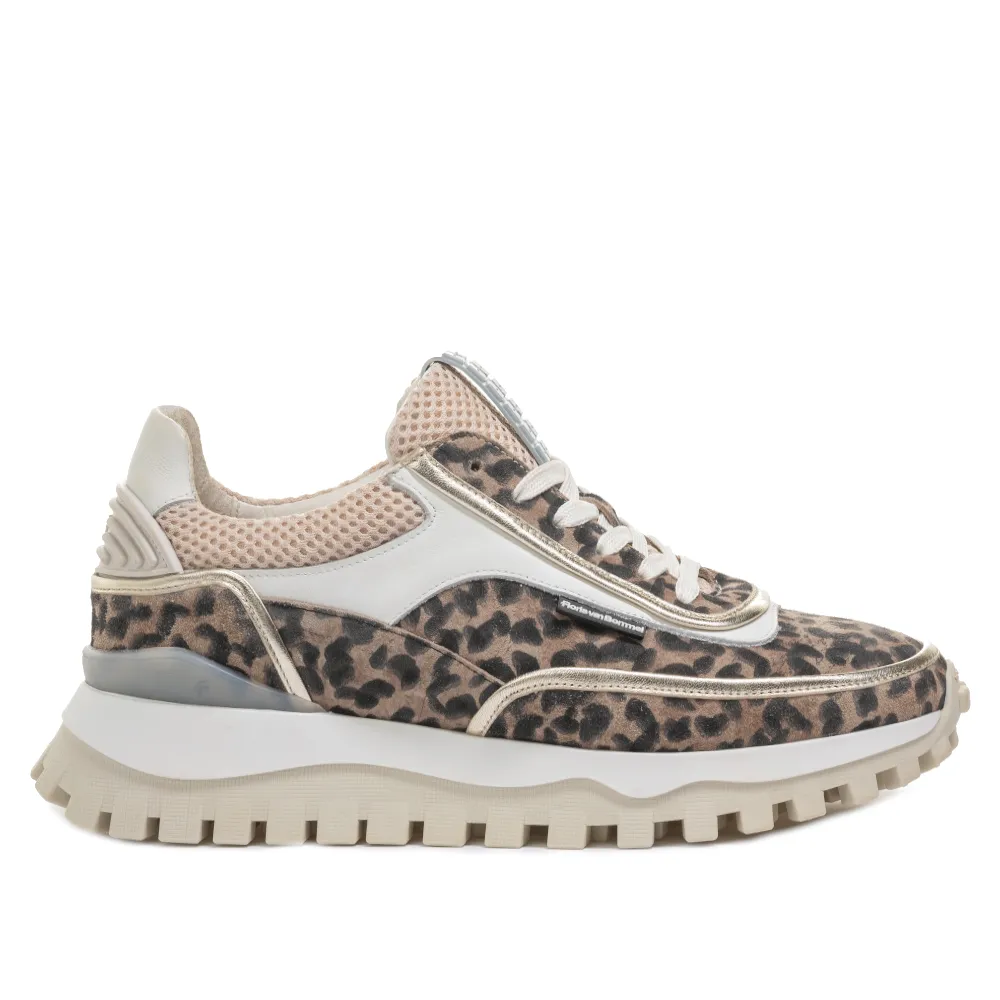 Floris van Bommel SFW-10131-34-01 Taupe sold by Donelli