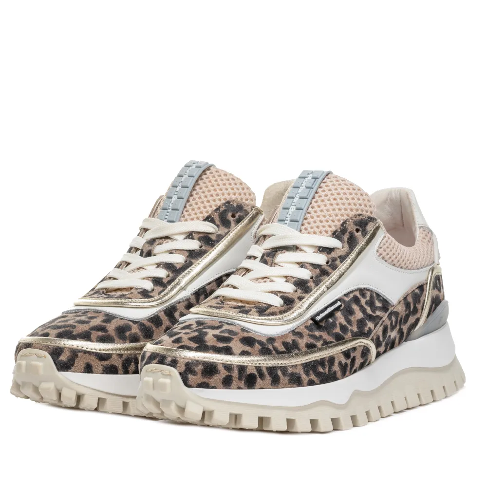 Floris van Bommel SFW-10131-34-01 Taupe sold by Donelli product image thumbnail 2