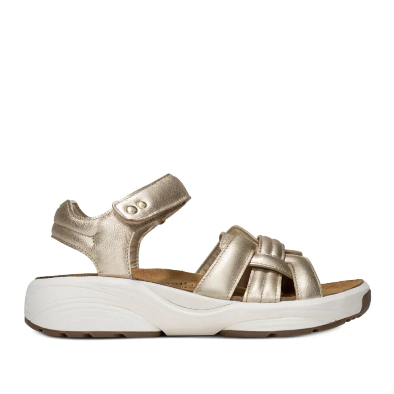 Xsensible Sandalen 30804.5.911 H Goud made by Donelli