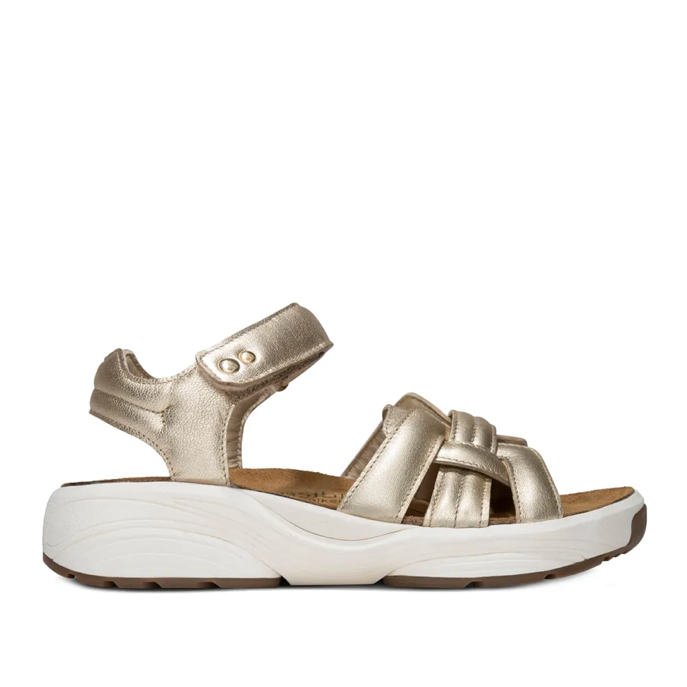 Xsensible Sandalen 30804.5.911 H Goud sold by Donelli