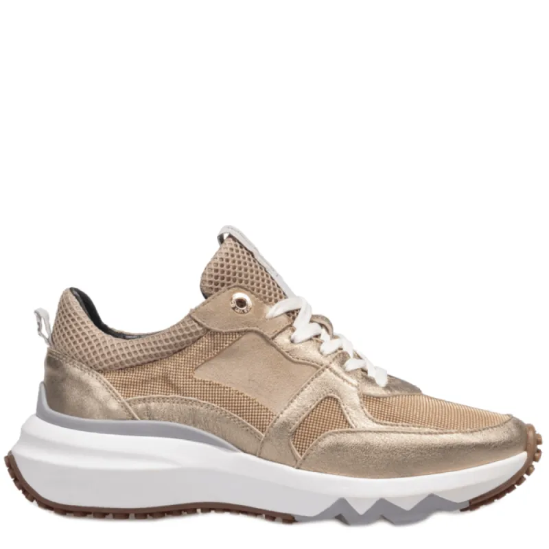 Floris van bommel Veterschoenen SFW-10111-91-01 goud sold by Donelli