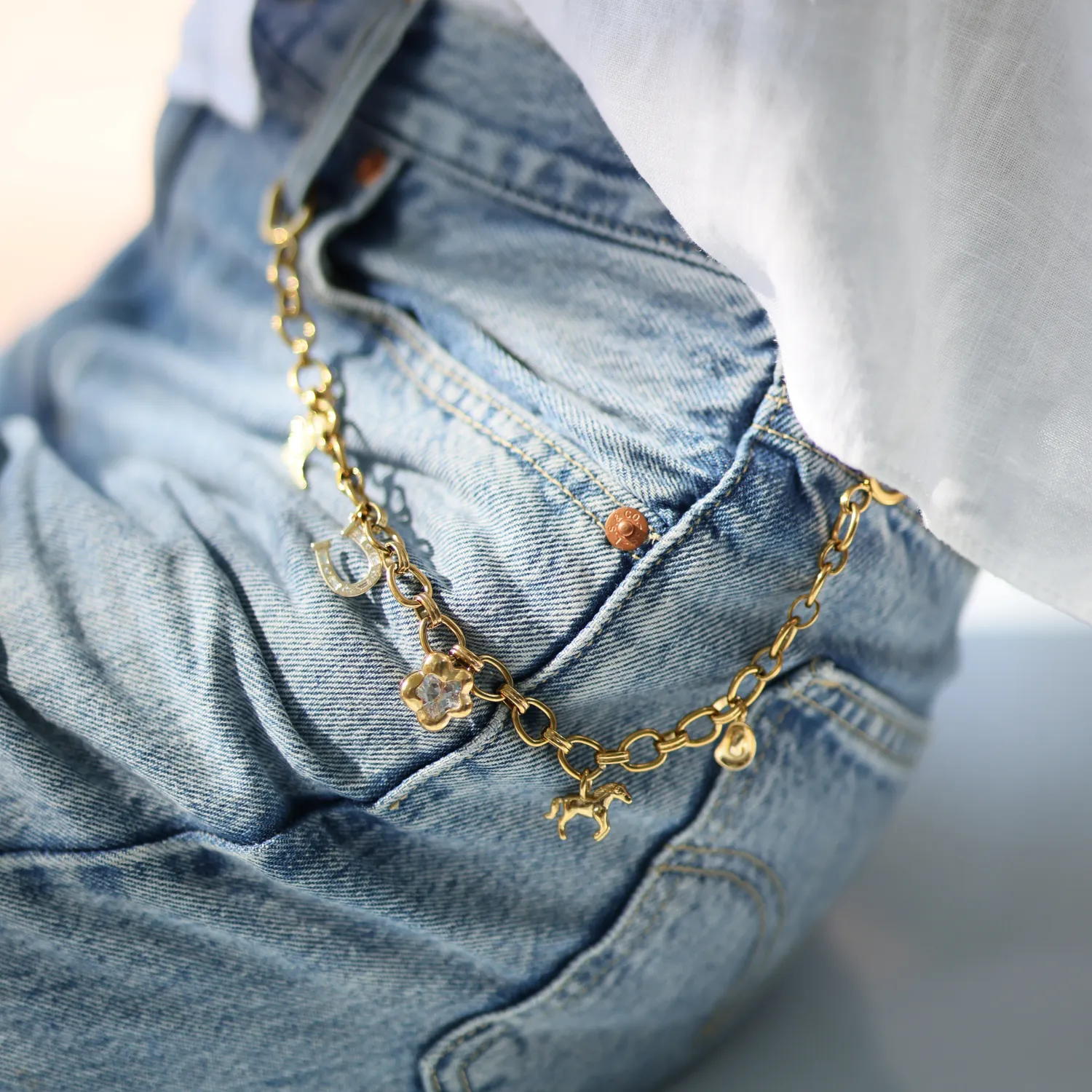 Western Charm Chain sold by Dorne product image thumbnail 3