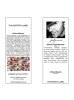 THE ARTISTS LABEL CHINE BLOOM SILK SCARF sold by ENNI