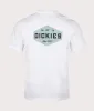 Dickies Emblem T-Shirt sold by EQVVS