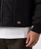 Gardiner Liner Jacket sold by EQVVS