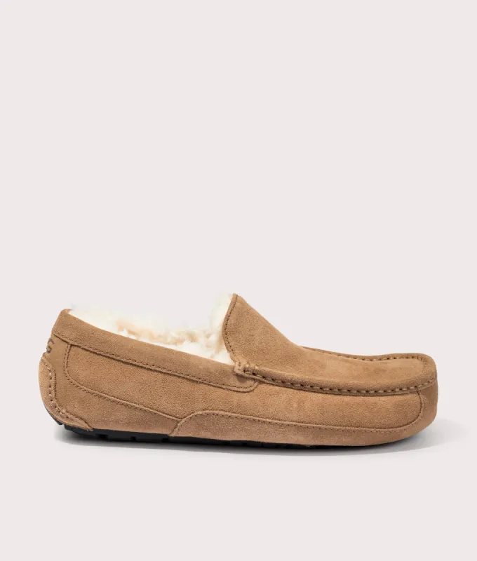 Ascot Slippers sold by EQVVS