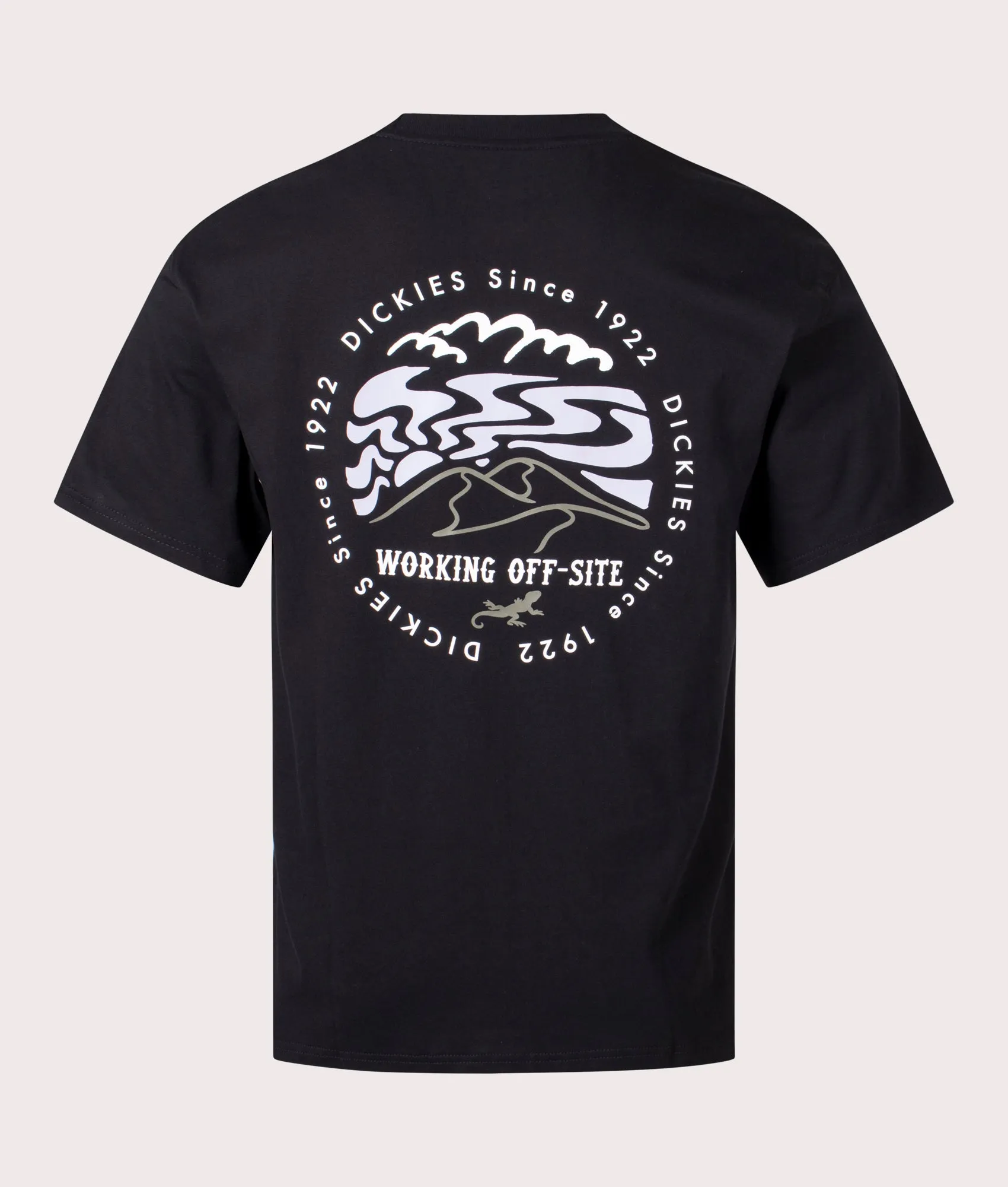 Stanardsville T-Shirt sold by EQVVS