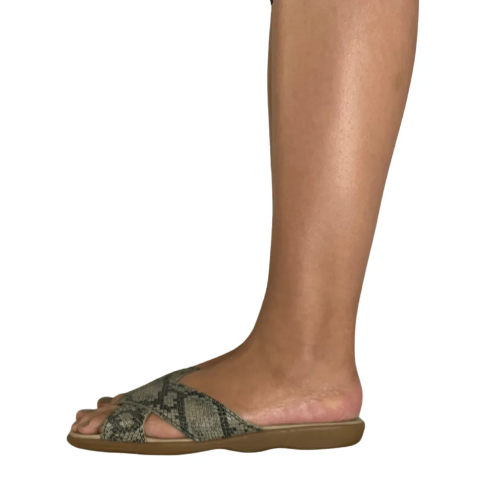 Crossanova - Serpent sold by Famolare