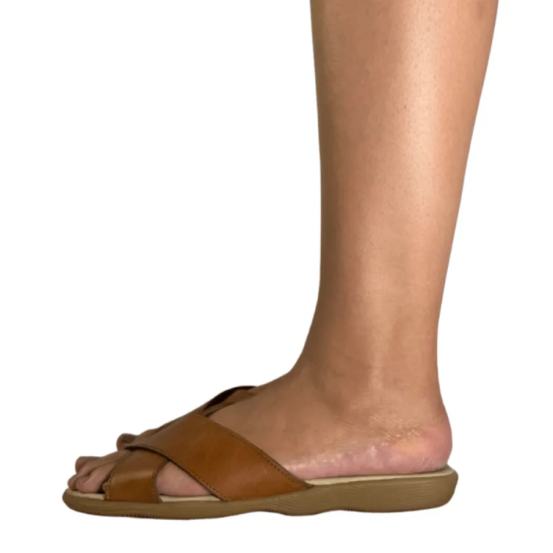 Crossanova - Honey sold by Famolare