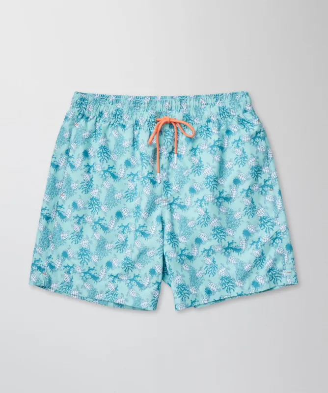 Reef Turtle Swim Shorts - Mint sold by GAZMAN