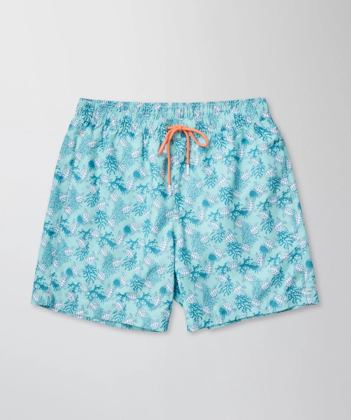 Reef Turtle Swim Shorts - Mint sold by GAZMAN