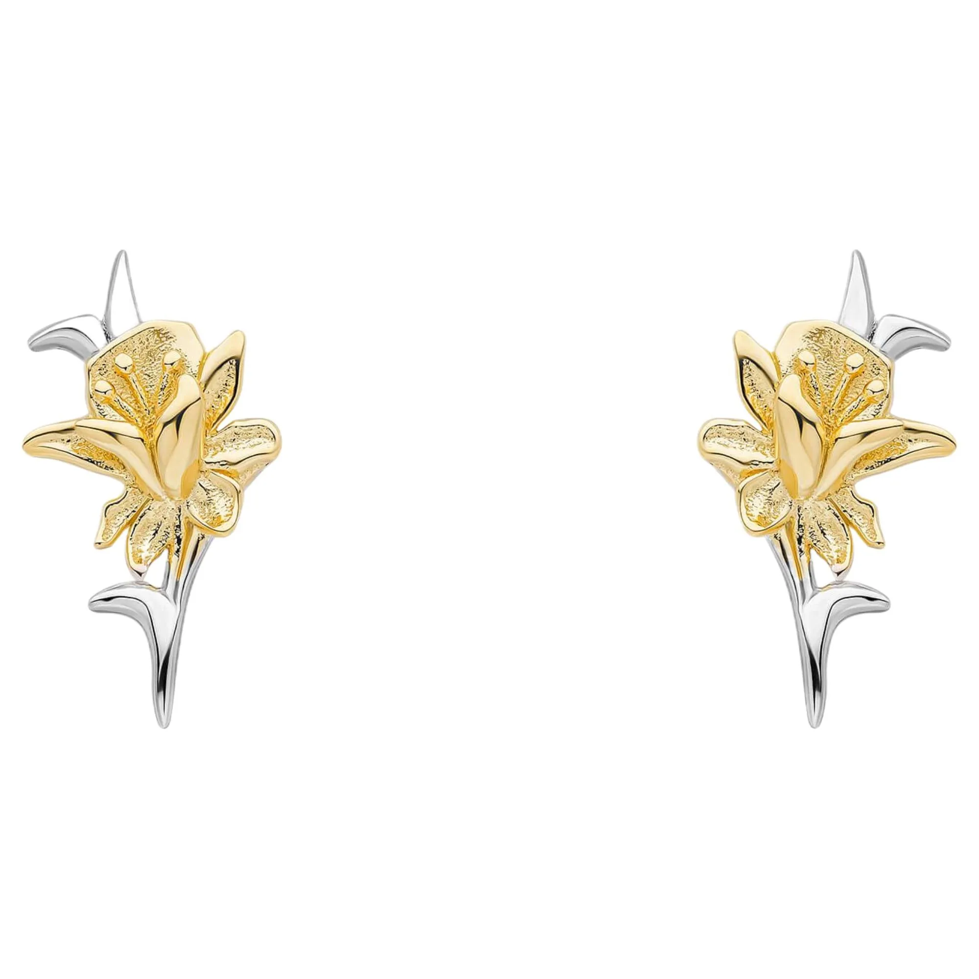 Laura Ashley E6608 Heritage Daffodil Stud Earrings Sterling Silver sold by H.S. Johnson