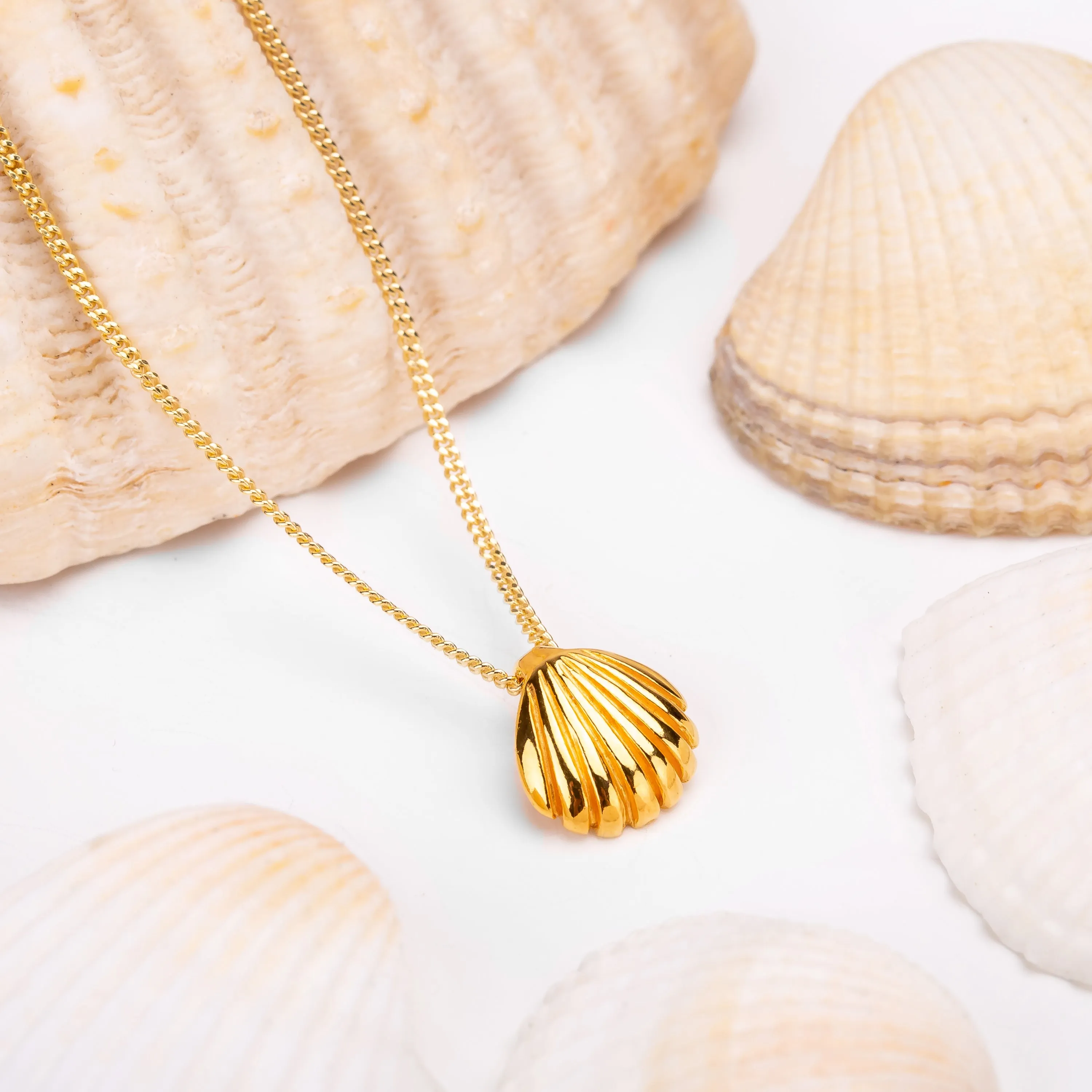 Sea Shell / Seashell Necklace in Silver with 24ct Gold sold by Henryka product image thumbnail 4