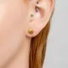 Seashell / Sea Shell Stud Earrings in Silver with 24ct Gold sold by Henryka