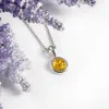 Round Charm Necklace in Silver and Yellow Amber sold by Henryka