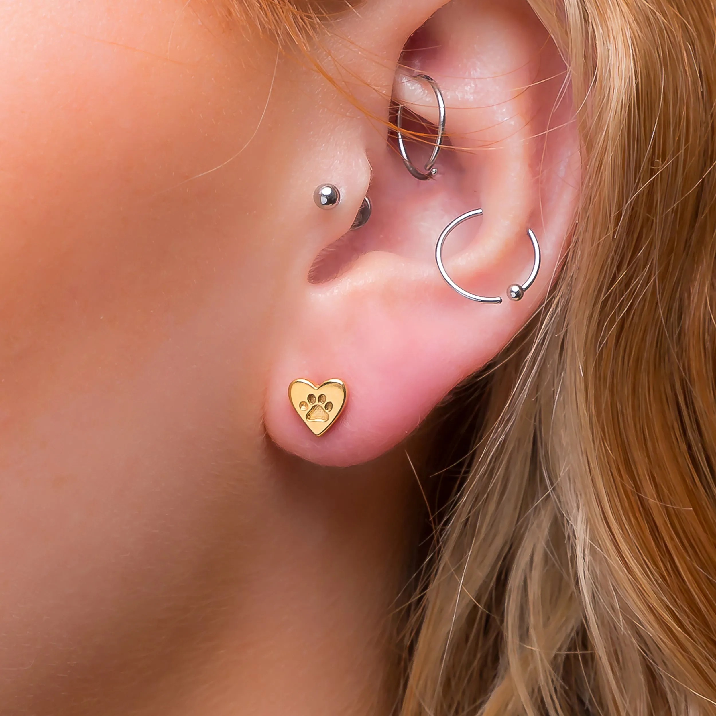 Heart Paw Print Stud Earrings in Silver with 24ct Gold sold by Henryka product image thumbnail 2