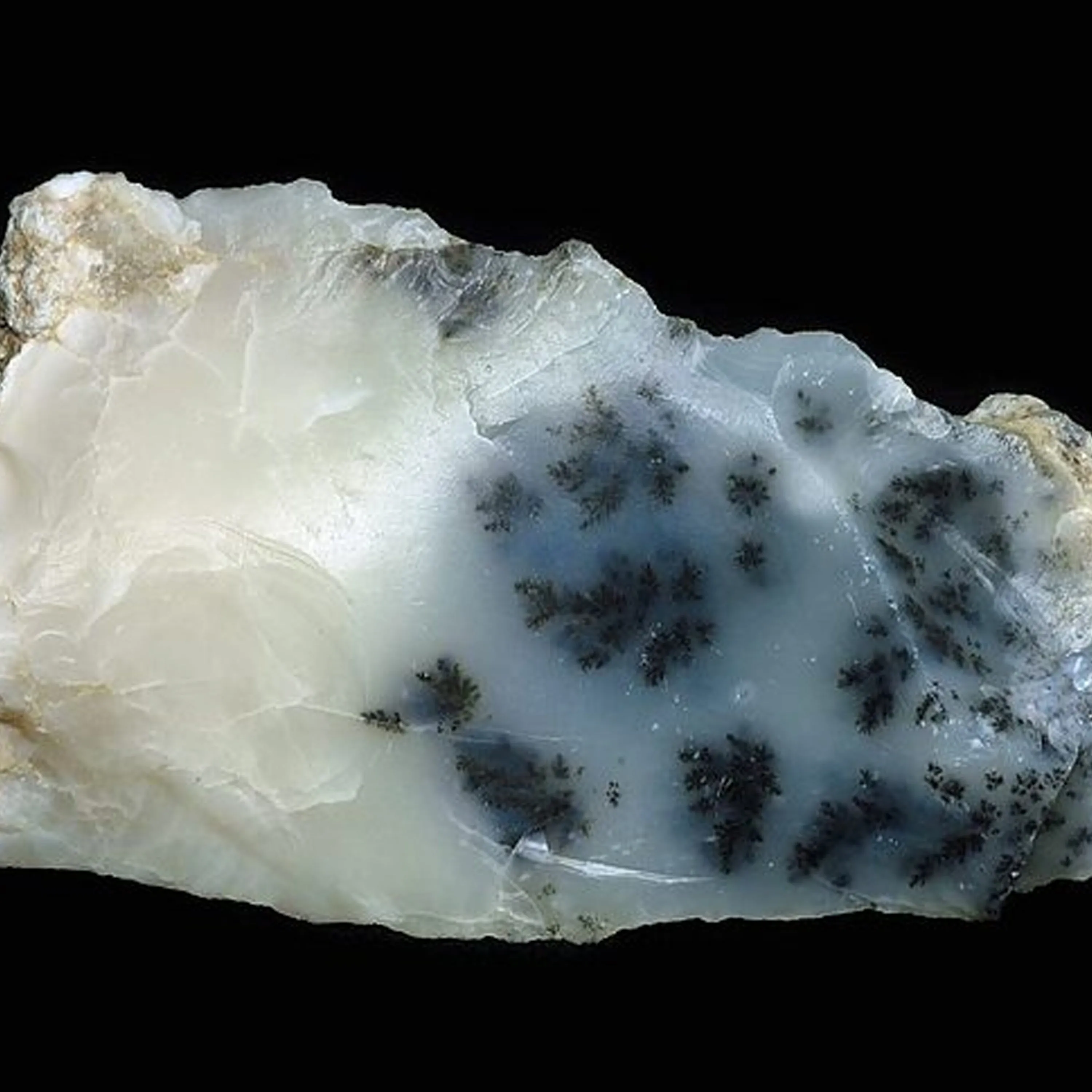'Winter Wonderland' Dendritic Opal Statement Ring sold by Henryka product image thumbnail 3