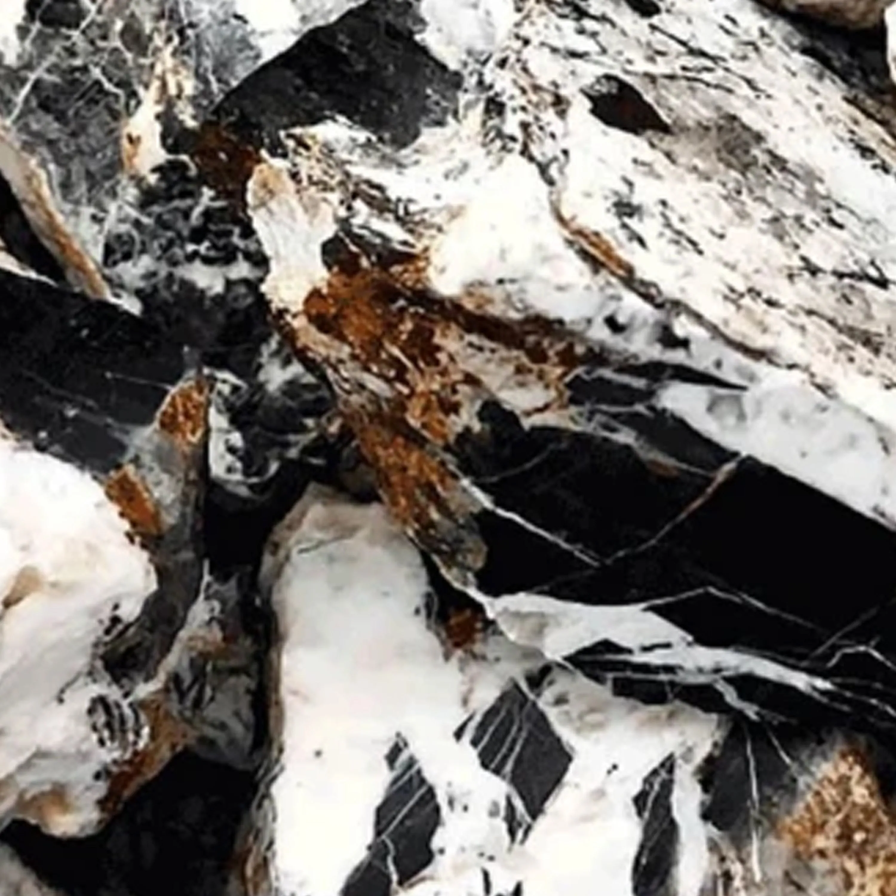 Orthoceras Fossil Gemstone Ring - Natural Designer Gemstone sold by Henryka product image thumbnail 2