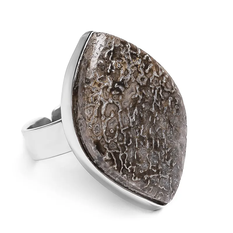Rare Fossilised Dinosaur Bone Ring - Natural Designer Gemstone sold by Henryka