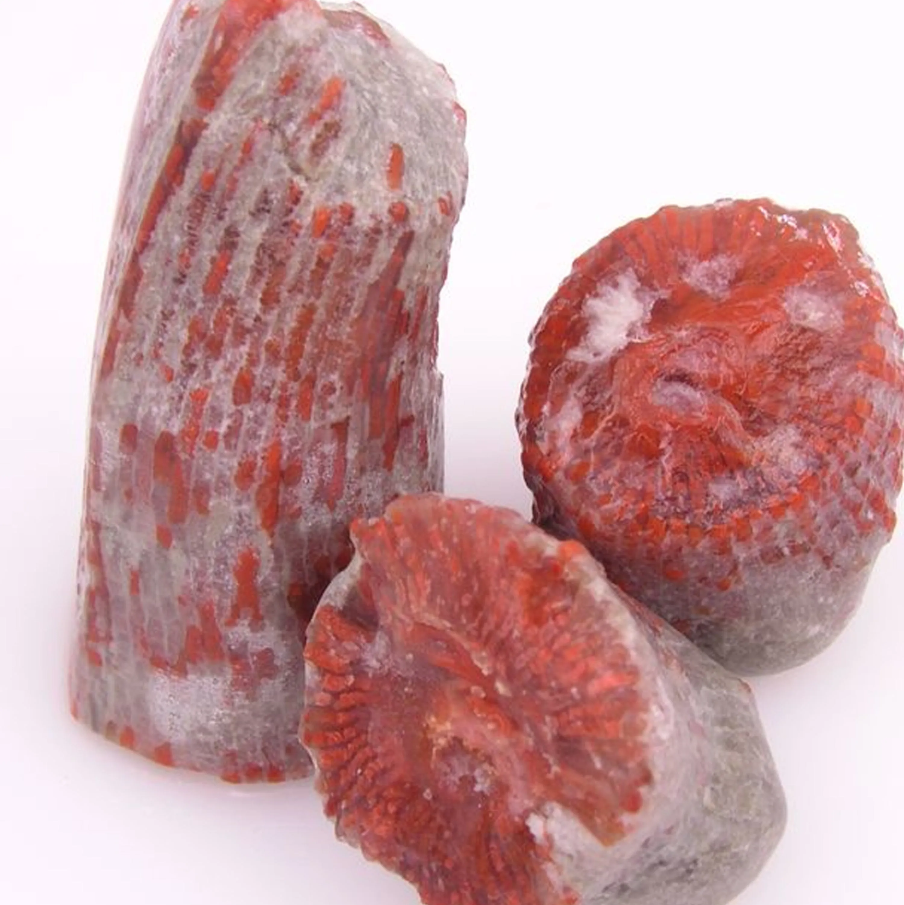 Perfect Fossilised Red Horn Coral Ring - Natural Designer Gemstone sold by Henryka product image thumbnail 2